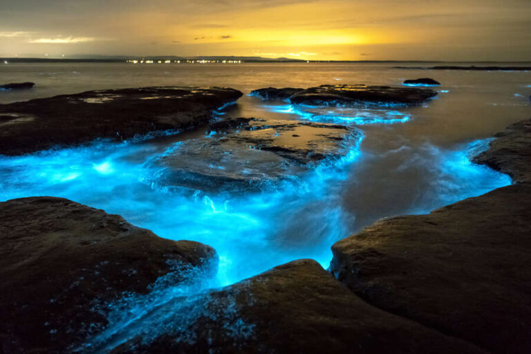 15 Best Bioluminescent Destinations According to Instagram