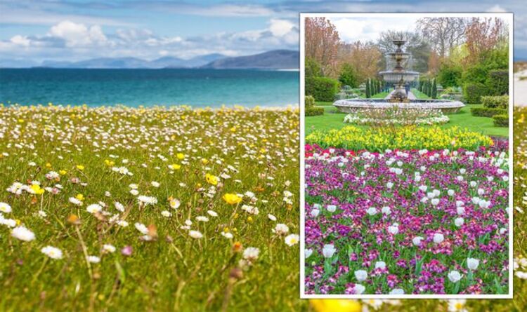 Staycation: The UK’s top destinations to see spring flowers with full list | Travel News | Travel
