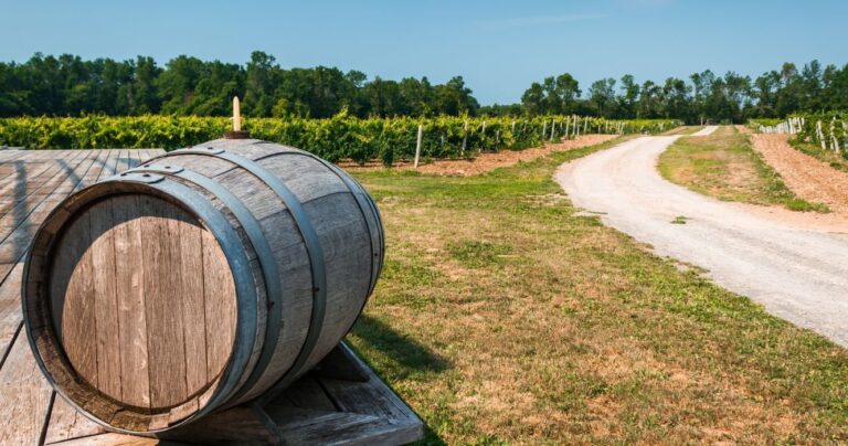 10 North American Destinations For Vineyards & Wineries