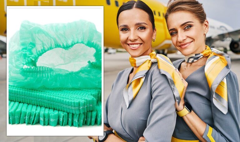 Flight attendant says ‘disposable hairnets’ are useful way to pack – ‘Always carry’ | Travel News | Travel