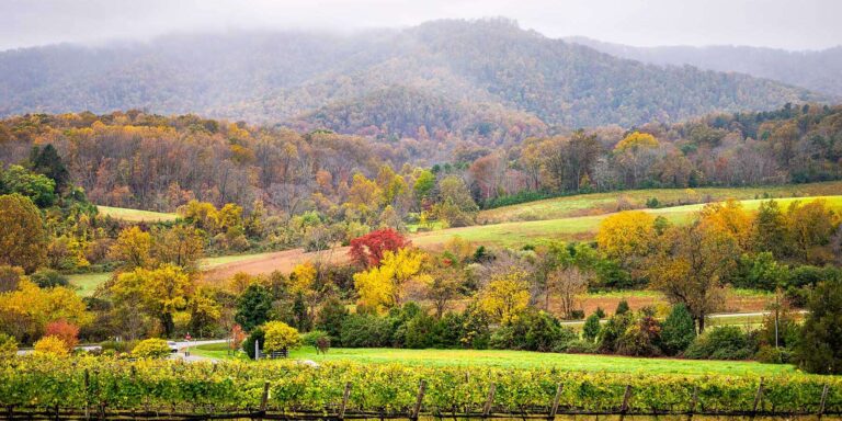 Charlottesville, Virginia Travel Guide: Best Dining, Vineyards, Hotels, Historic Sites, and More