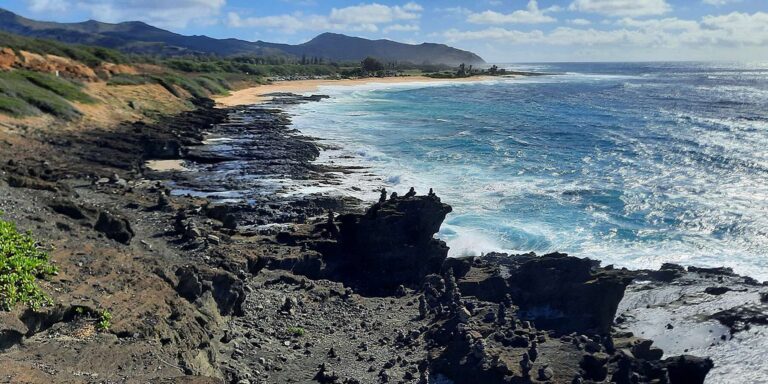 This Beach Tour on Oahu’s North Shore Was Just Rated the Best Activity in the U.S. — Waterfall Hike Included | Travel + Leisure