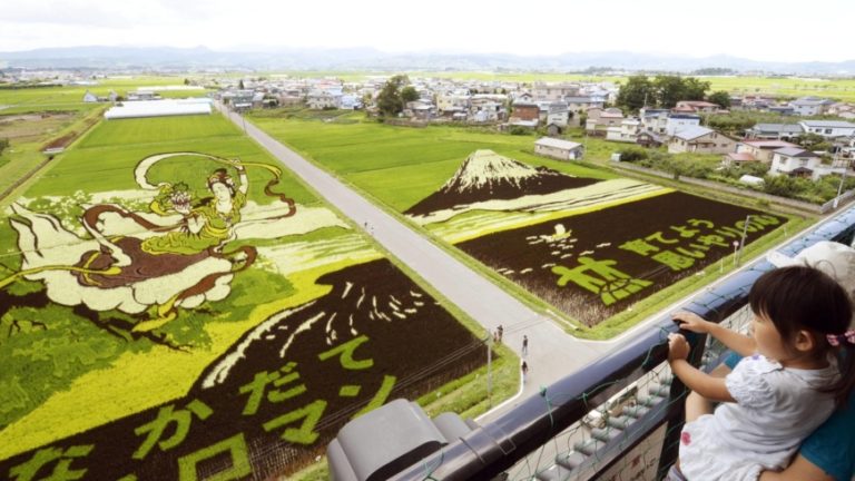 How rice can revive Japan’s tourism industry