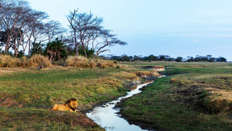 Upgrades at Kafue National Park in Zambia will benefit tourism: Travel Weekly