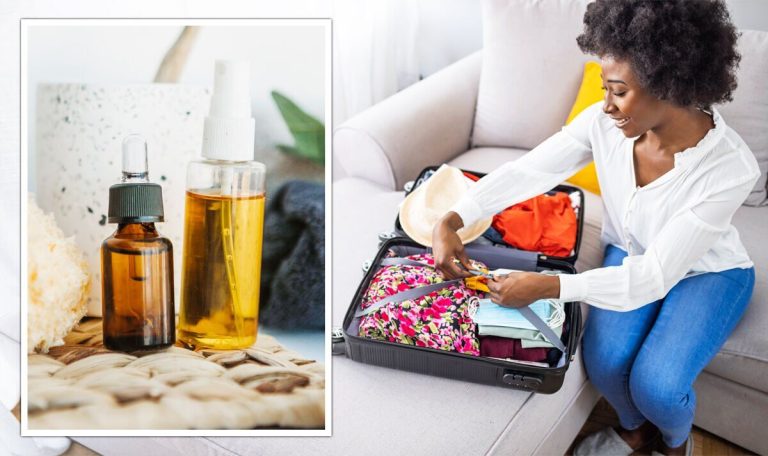 Hand luggage hack: Genius ‘travel must-have’ to prevent packing mistake | Travel News | Travel