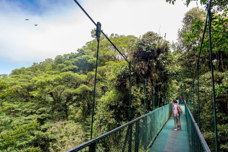 7 Costa Rica vacations for every travel style
