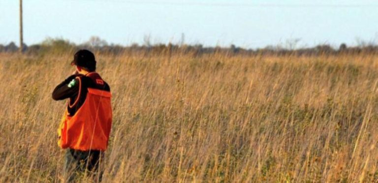Favorable weather, ‘a lot more birds’ present optimism for South Dakota pheasant season, tourism spending