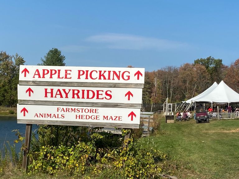 New England has 4 of the best apple picking destinations in the U.S.