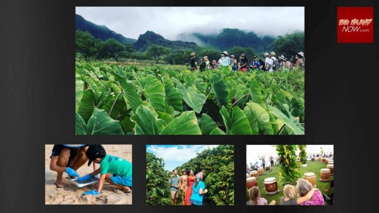 2022 Hawaiʻi Tourism Authority Conference on Dec. 8 and 9; registration now open : Kauai Now