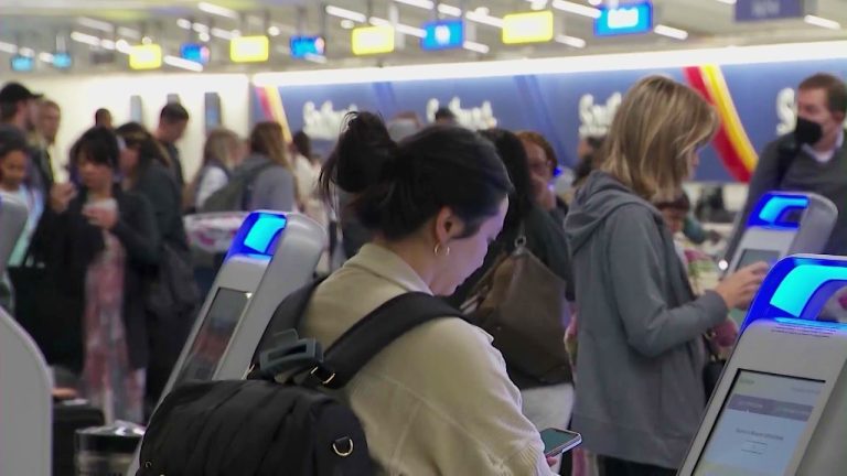 Americans prepare for busy holiday travel season