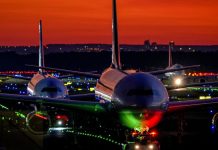 Part of Frankfurt Airport's power supply cut overnight by a dormouse