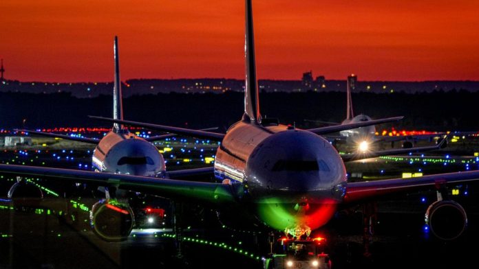 Part of Frankfurt Airport's power supply cut overnight by a dormouse