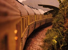 Journey through the rainforest in luxury on Malaysia’s last remaining sleeper train