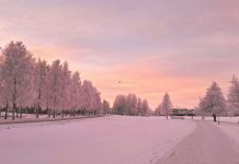 Tired of Europe’s crowded hotspots? Put these ‘not hot’ destinations on your 2026 itinerary