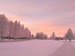 Tired of Europe’s crowded hotspots? Put these ‘not hot’ destinations on your 2026 itinerary