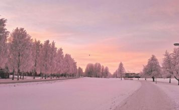Tired of Europe’s crowded hotspots? Put these ‘not hot’ destinations on your 2026 itinerary