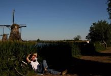 Texel, The Hague, Haarlem: Locals like to swap Amsterdam for these quieter Dutch destinations