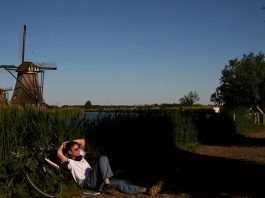 Texel, The Hague, Haarlem: Locals like to swap Amsterdam for these quieter Dutch destinations