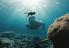 Canary Islands' new voluntary tourist tax will fund local sustainability projects
