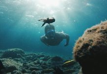 Canary Islands' new voluntary tourist tax will fund local sustainability projects