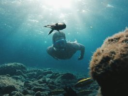 Canary Islands' new voluntary tourist tax will fund local sustainability projects
