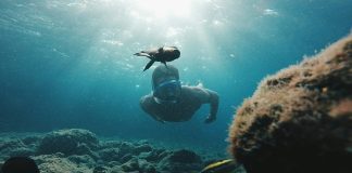 Canary Islands' new voluntary tourist tax will fund local sustainability projects