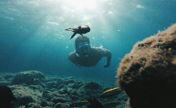 Canary Islands' new voluntary tourist tax will fund local sustainability projects