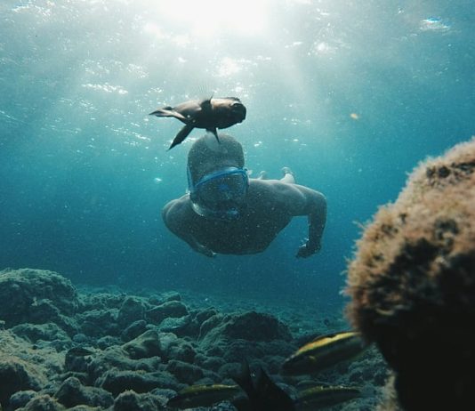 Canary Islands' new voluntary tourist tax will fund local sustainability projects