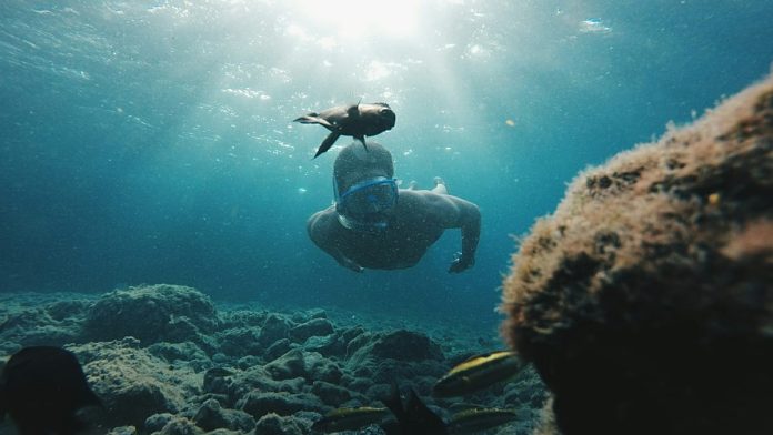 Canary Islands' new voluntary tourist tax will fund local sustainability Canary Islands' new voluntary tourist tax will fund local sustainability projects
