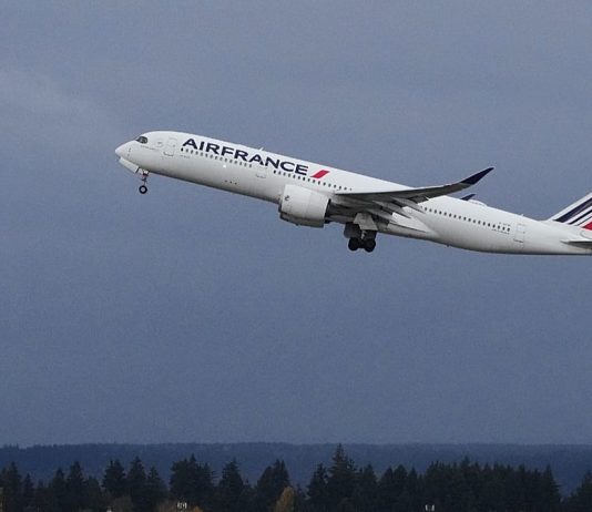 Middle East flights: Air France suspends routes to Riyadh, Dubai and Beirut Middle East flights: Air France suspends routes to Riyadh, Dubai and Beirut